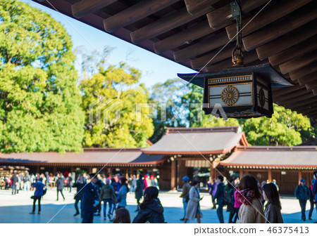 明治神宮 46375413