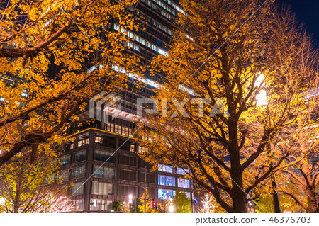 <<Tokyo>> Ginkgo trees and night view in front of Tokyo station <<Tokyo>> Ginkgo trees and night view in front of Tokyo station 46376703