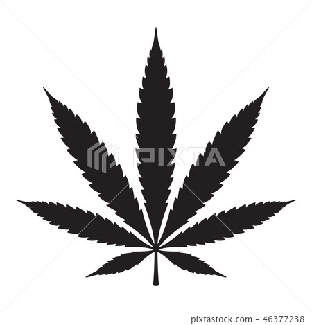 Marijuana vector cannabis leaf weed icon logo sign Marijuana vector cannabis leaf weed icon logo sign 46377238