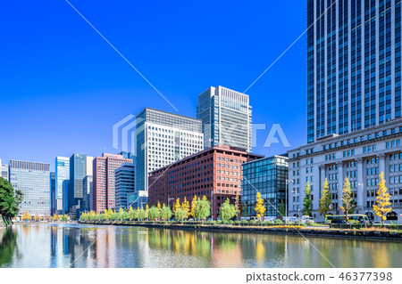 Tokyo Autumn leaves of Marunouchi Building Street Tokyo Autumn leaves of Marunouchi Building Street 46377398