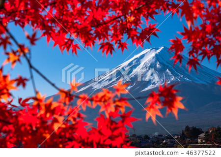 绝妙的景色 日本的秋天 富士山和秋叶 图库照片