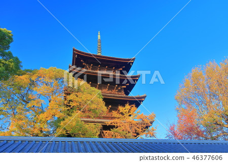 The five-storied pagoda of Toji in the morning sun 46377606