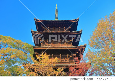 The five-storied pagoda of Toji in the morning sun The five-storied pagoda of Toji in the morning sun 46377608