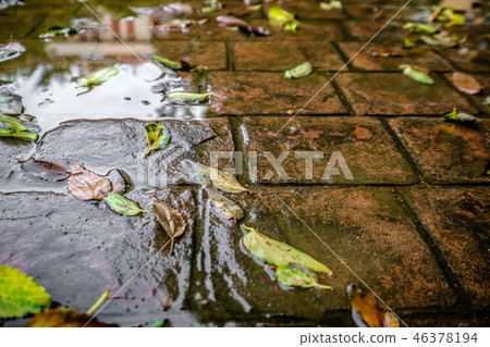 waterproof outer coating wet. stamped concrete pavement waterproof outer coating wet. stamped concrete pavement 46378194
