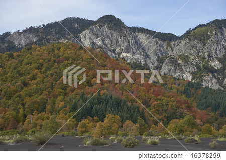 Autumn in Conguillio National Park 46378299