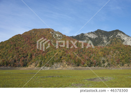 Autumn in Conguillio National Park 46378300