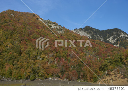 Autumn in Conguillio National Park 46378301