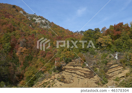 Autumn in Conguillio National Park Autumn in Conguillio National Park 46378304