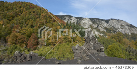 Autumn in Conguillio National Park Autumn in Conguillio National Park 46378309