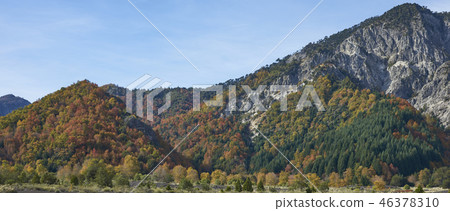 Autumn in Conguillio National Park Autumn in Conguillio National Park 46378310