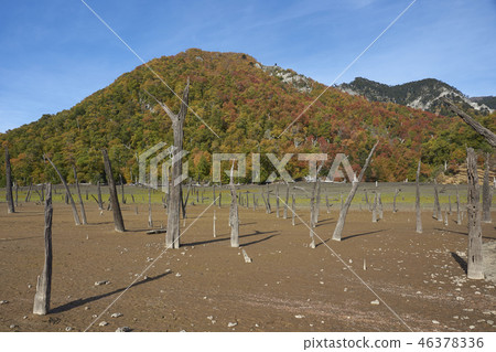 Laguna Verde in Conguillio National Park 46378336