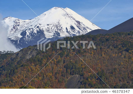 Volcano Llaima in Conguillio National Park 46378347