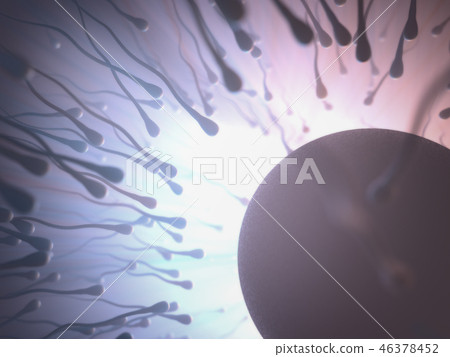 Sperm Meets Egg 46378452