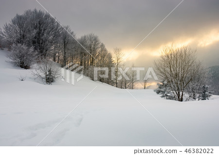gorgeous winter sunrise in mountains 46382022