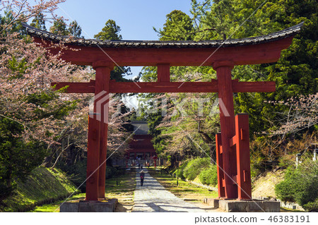 磐城神社接近春天和Akatorii 46383191