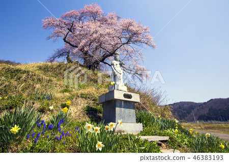 Stone Buddha and Nashiro 46383193