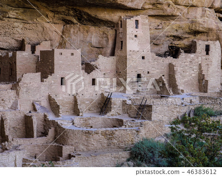 梅薩維德 46383612