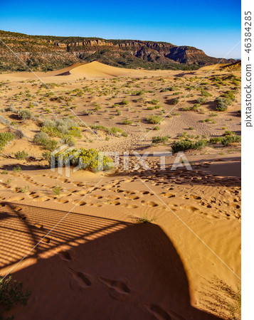 Coral Pink Sand Dunes 46384285