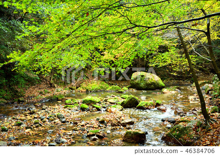 Clear stream autumn Clear stream autumn 46384706