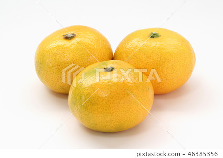 早熟橙子 46385356