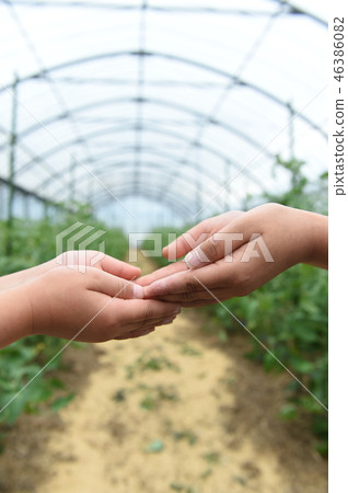 A person A person 46386082