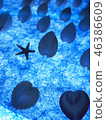 A gift from the sea 46386609