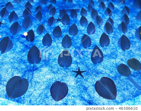 A gift from the sea 46386610