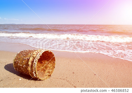 Goose barnacles attaching to plastic bucket 46386852