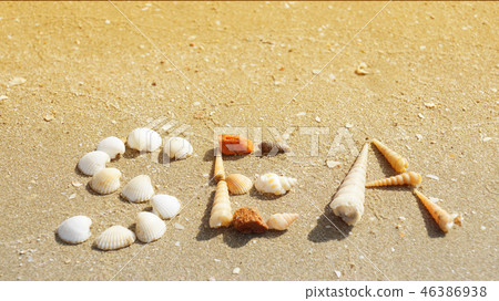 SEA word made of scallop seashells placed on beach 46386938
