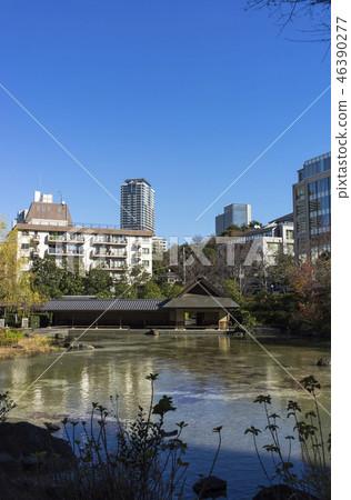 城市公園六本木冬天 城市公園六本木冬天 46390277