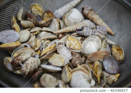 貝類菜餚 貝類菜餚 46390657