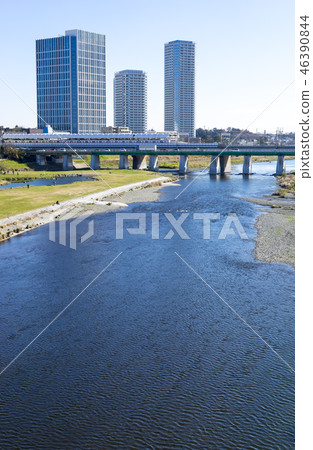 二子玉川多摩河和高層建築的景觀 46390844