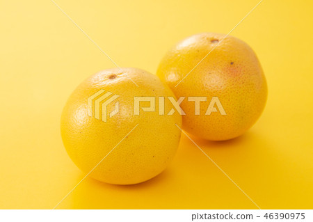 grapefruit grapefruit 46390975