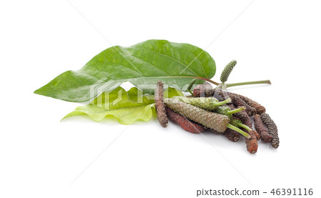 Long pepper or Piper longum isolated on white Long pepper or Piper longum isolated on white 46391116
