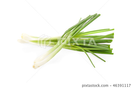 Green onion isolated on the white background Green onion isolated on the white background 46391117