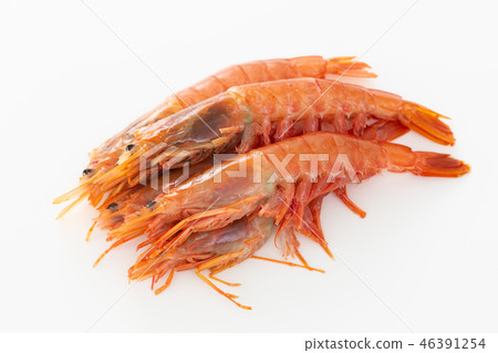 Red Shrimp 46391254