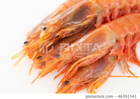 紅蝦 46391341