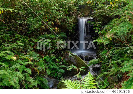 scene with mystical waterfall and tropical forest scene with mystical waterfall and tropical forest 46391506