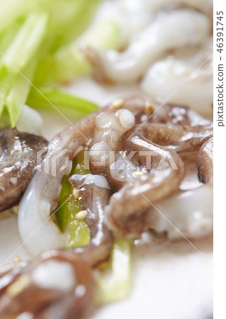 海藻章魚 海藻章魚 46391745