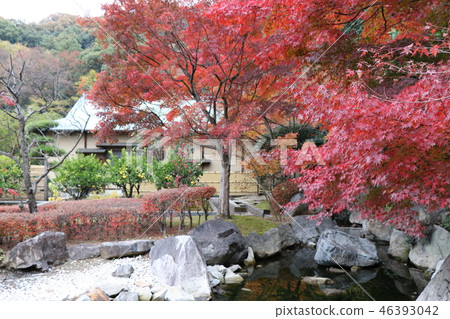 Autumn Matsuyama Castle Ninomaru Garden 46393042