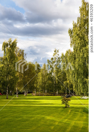 Landscape 46393209