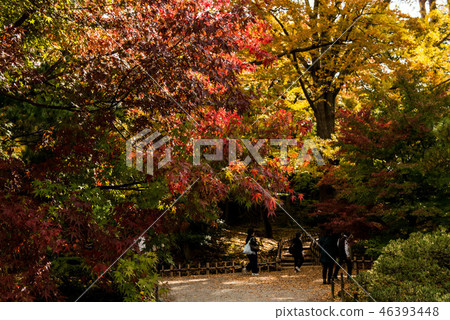 Fall of Kenrokuen Fall of Kenrokuen 46393448
