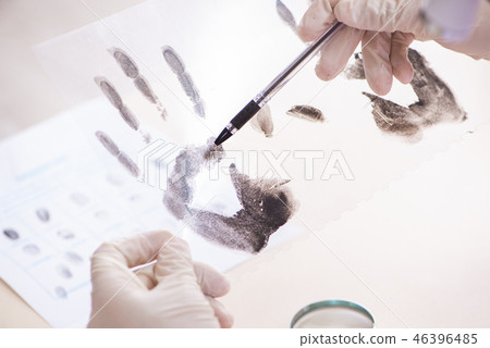 Forensic expert studying fingerprints in the lab 46396485