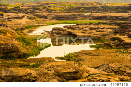 Born of nature 46397156