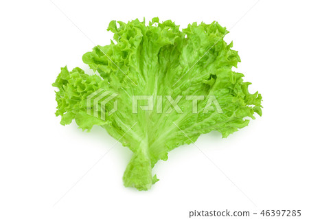 Lettuce leaf isolated on white background close up 46397285