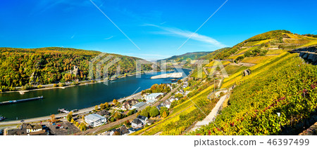 View of the Rhine Gorge with Rheinstein and Reichenstein Castles in Germany View of the Rhine Gorge with Rheinstein and Reichenstein Castles in Germany 46397499