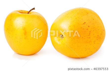 two yellow apples on a white background two yellow apples on a white background 46397553