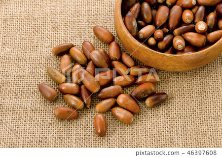 Acorn Acorn 46397608