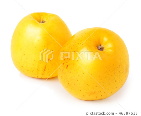 two yellow apples on a white background two yellow apples on a white background 46397613
