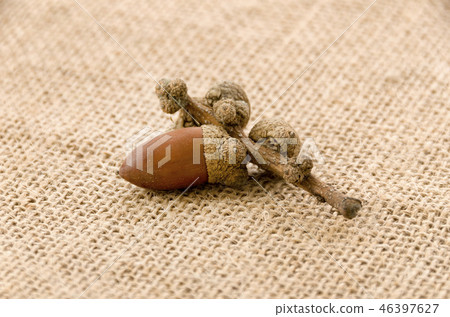 Acorn Acorn 46397627